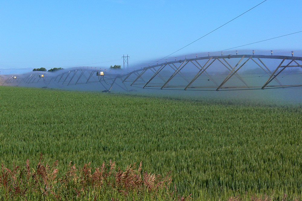 Idaho Potatoes Idaho Crops Water