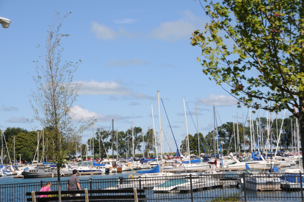 Illinois Chicago Yachts