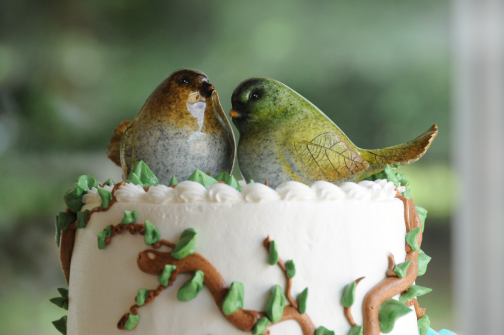 Illinois Elmwood Wedding Cake