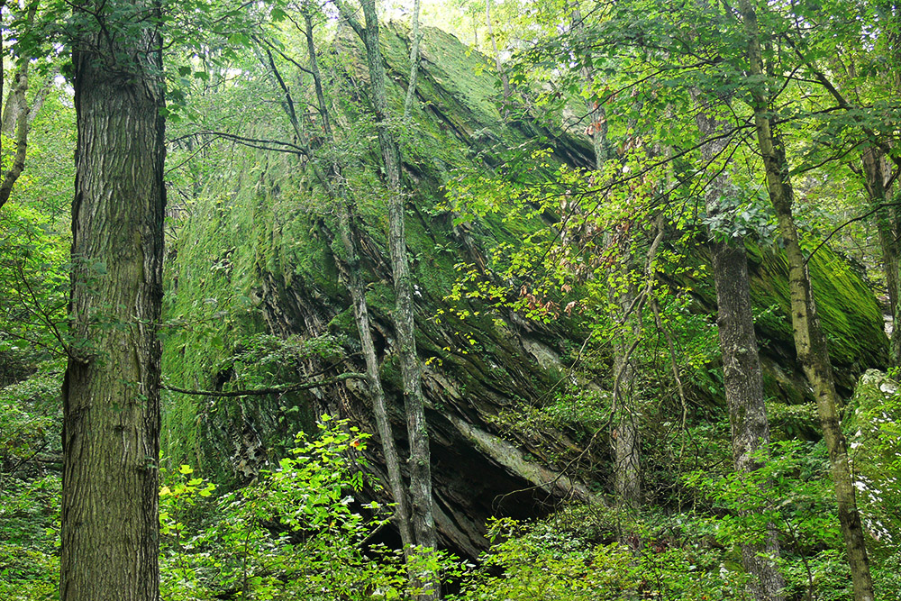 Illinois Shawnee Forest Boat Rocks