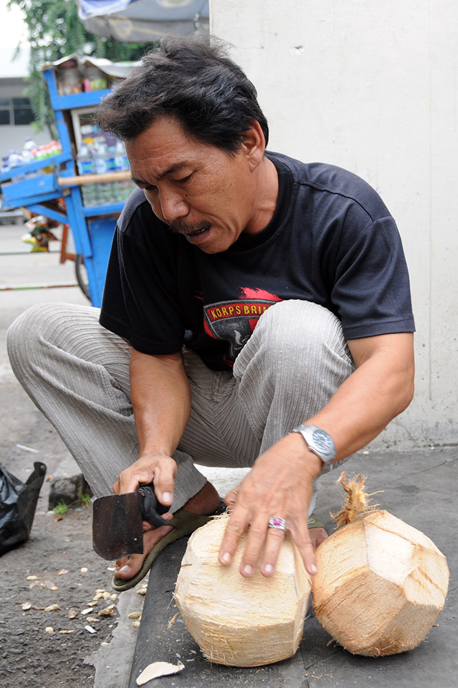 Coconut Indonesia Jakarta Coconut
