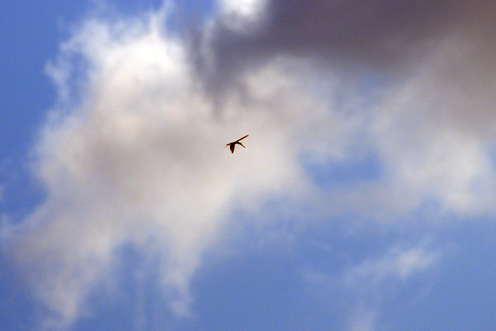 Praying Mantis Flight