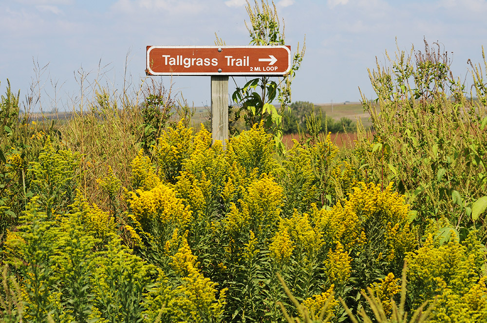 Tallgrass Trail Neal Smith Wildlife Tallgrass