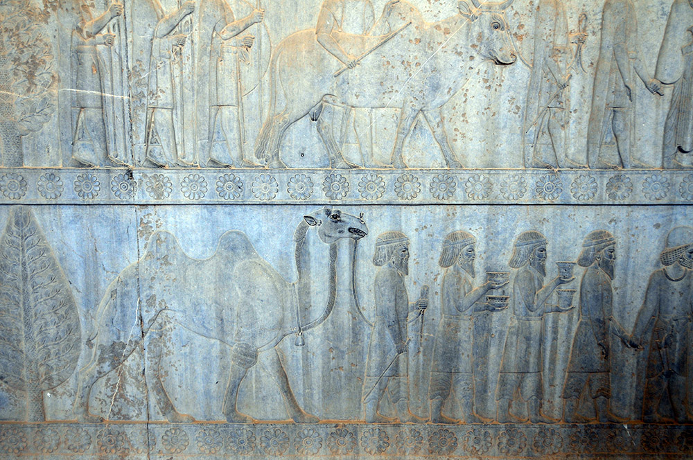 Ancient figures and animals carved at Persepolis