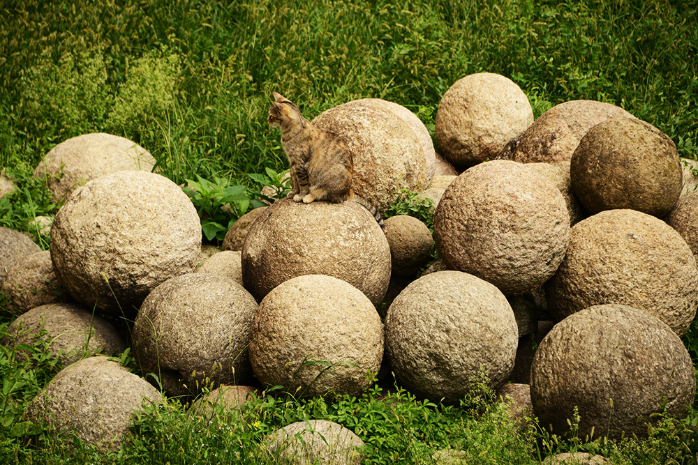 Stone balls and a cat at Sforza Castle