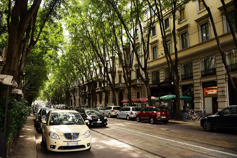 Tree lined street in Milan