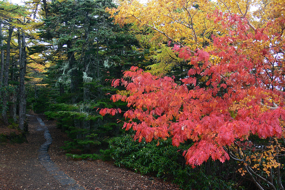 Japan Mt. Fuji Hiking Path