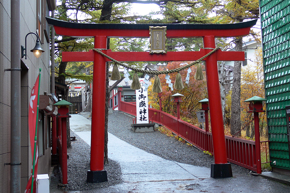 Mt. Fuji Torii Gate