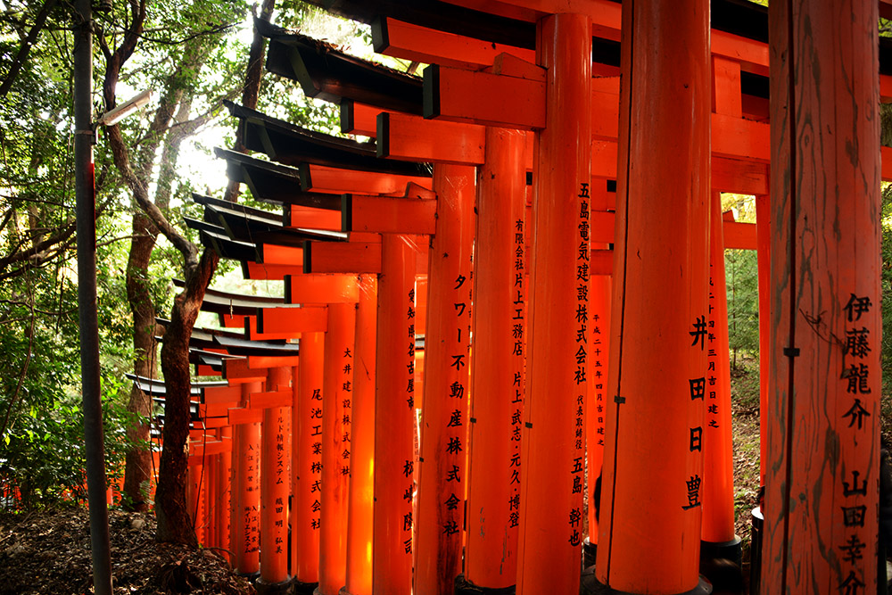 Torii gates at Fushimi Inari Taisha