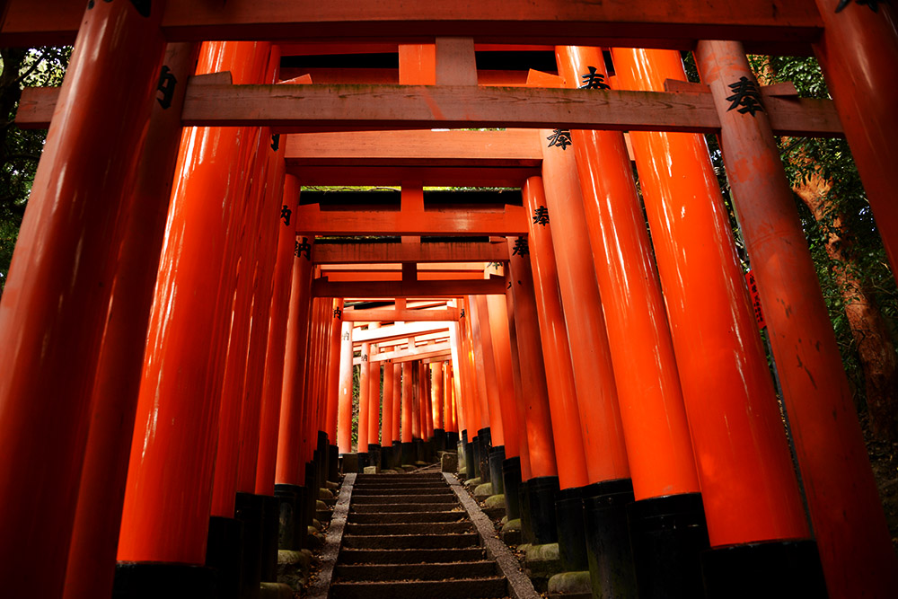 Torii gates higher on the trails of Fushimi Inari Taisha