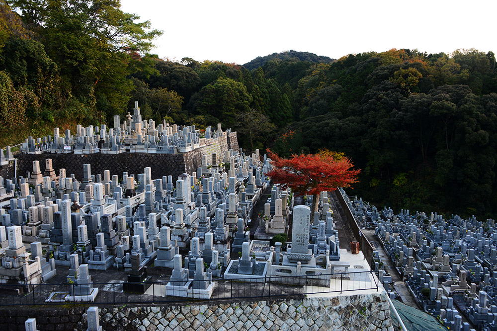 Nishi Otani Cemetery in Kyoto