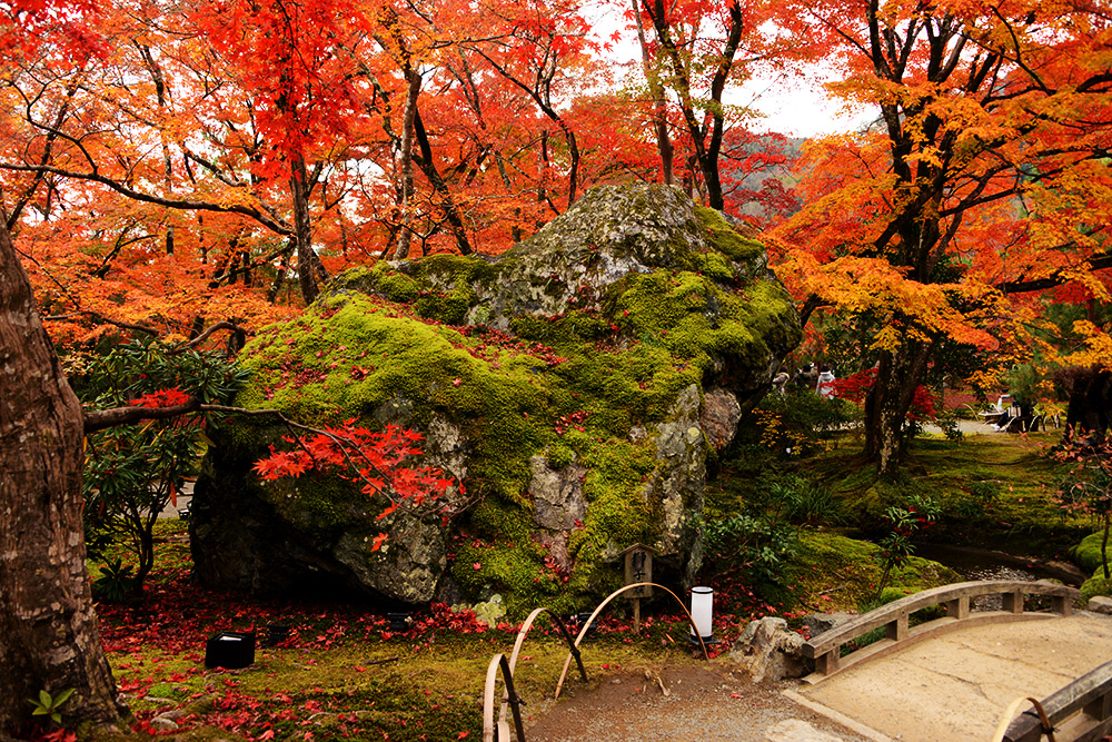 Autumn colors at Hogonin Temple