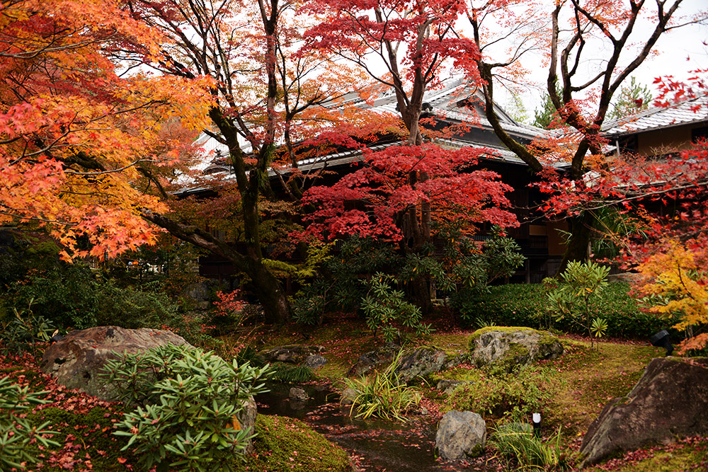 Hogonin Temple in Kyoto