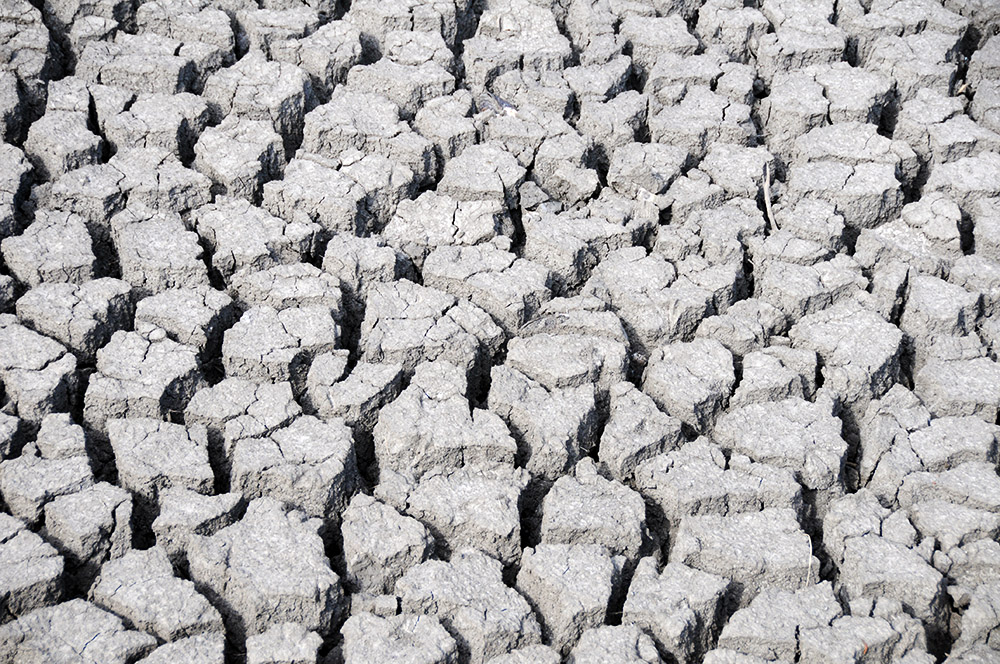 Dry Spell Dried Pond at the Great Plains Nature Center