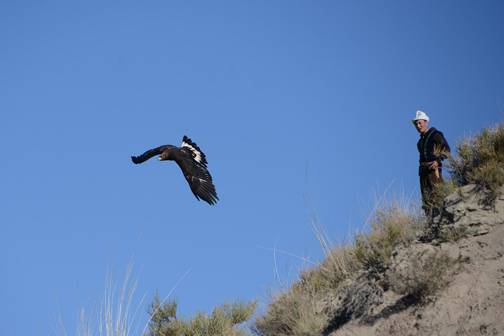 Kyrgyzstan Eagle Hunter