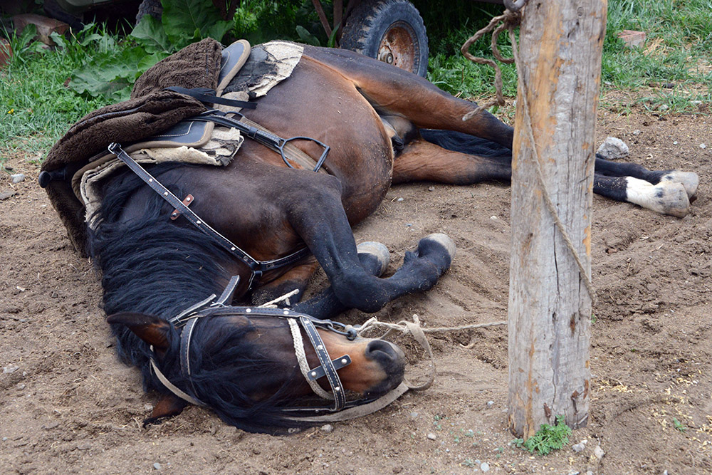 Kyrgyzstan Horseback Riding Sleeping
