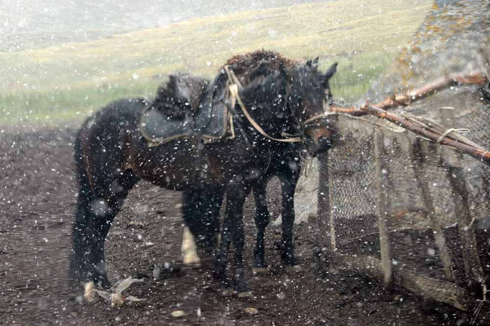 Kyrgyzstan Horseback Riding Snowstorm