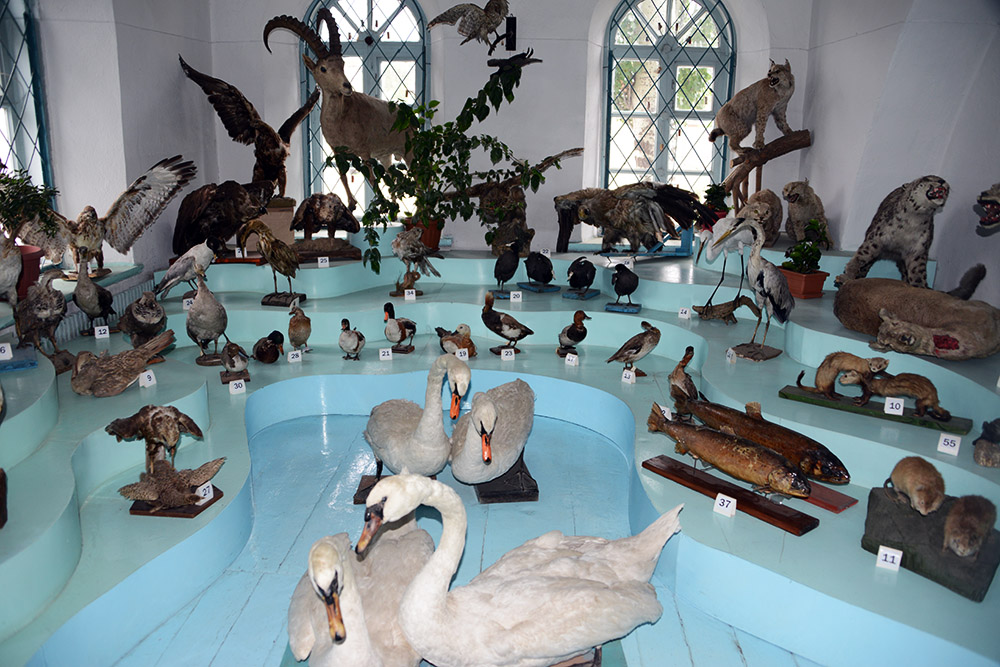 Kyrgyzstan-Karakol-Museum-Animals
