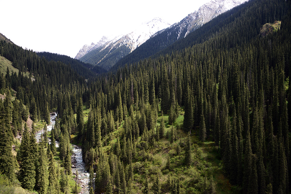 Tian Shan mountain landscape