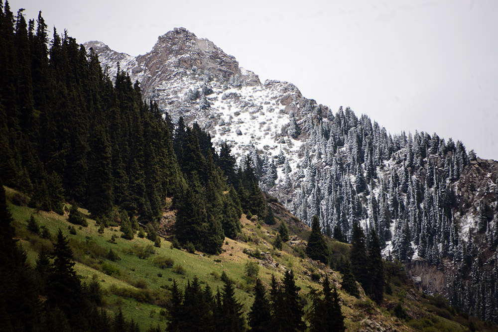 Spring and snow in the Tian Shan Mountains