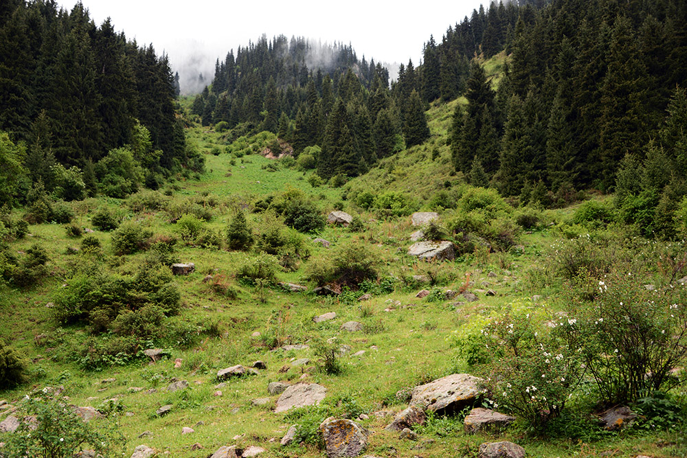 Mountain slope in the Tian Shan Mountains