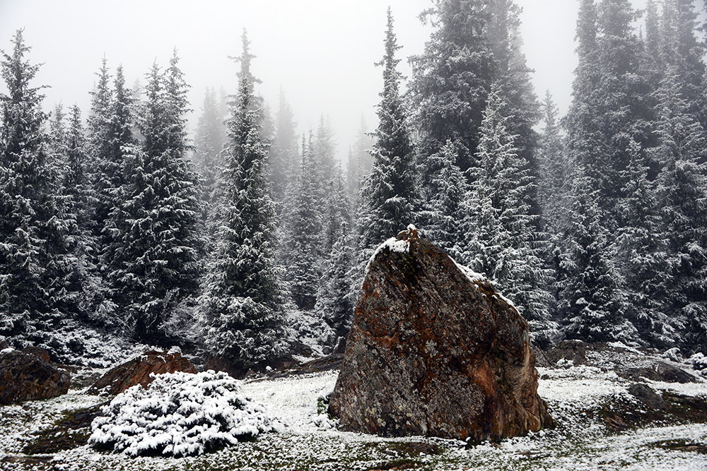 Snow covered boulder in the Tian Shan Mountains