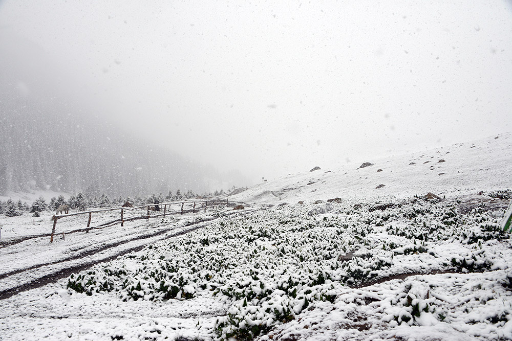 Snow around the Tian Shan mountain lodge