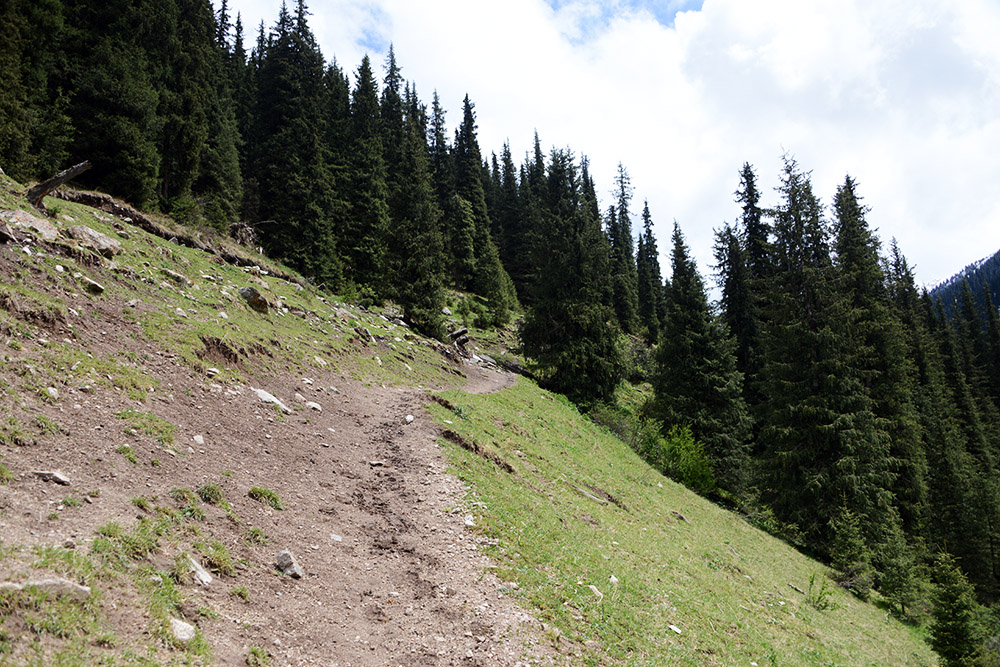 Trail through the Tian Shan Mountains