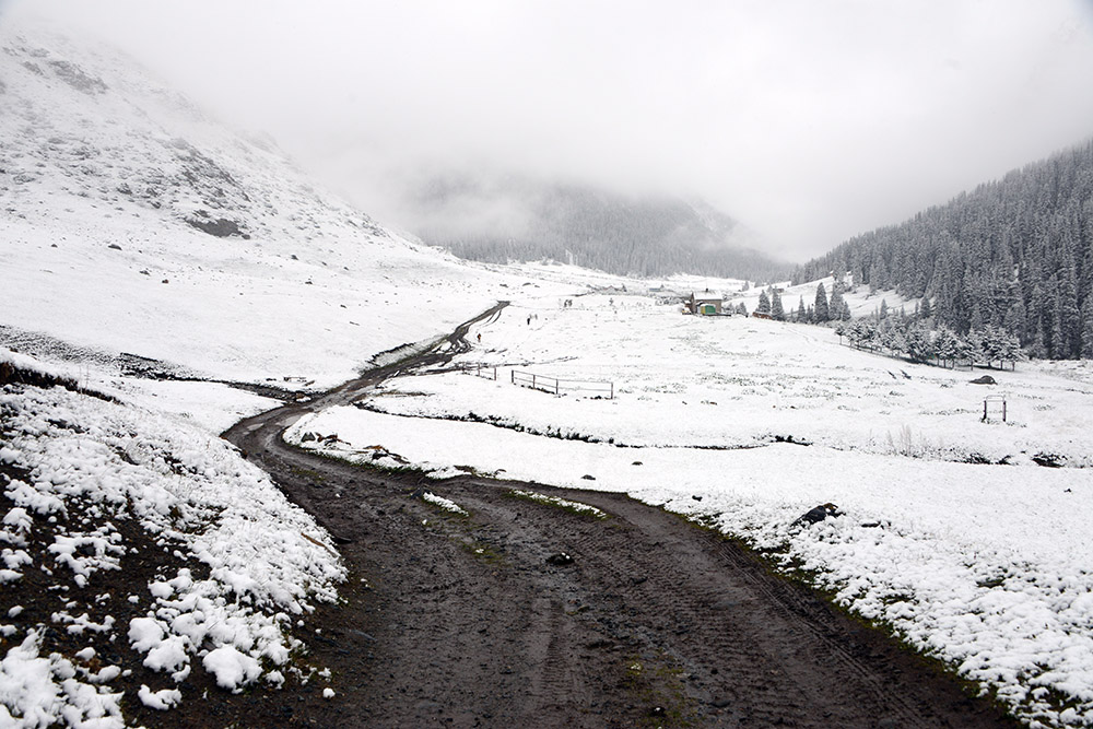 Green valley in the Tian Shan Mountains