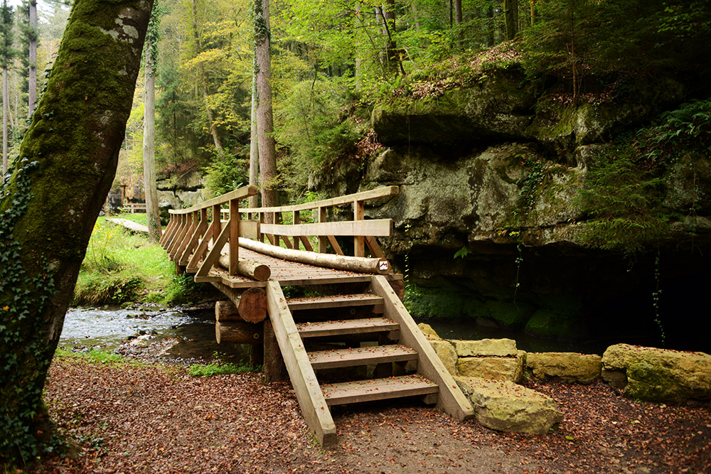Footbridge along a trail in Mullerthal Luxembourg