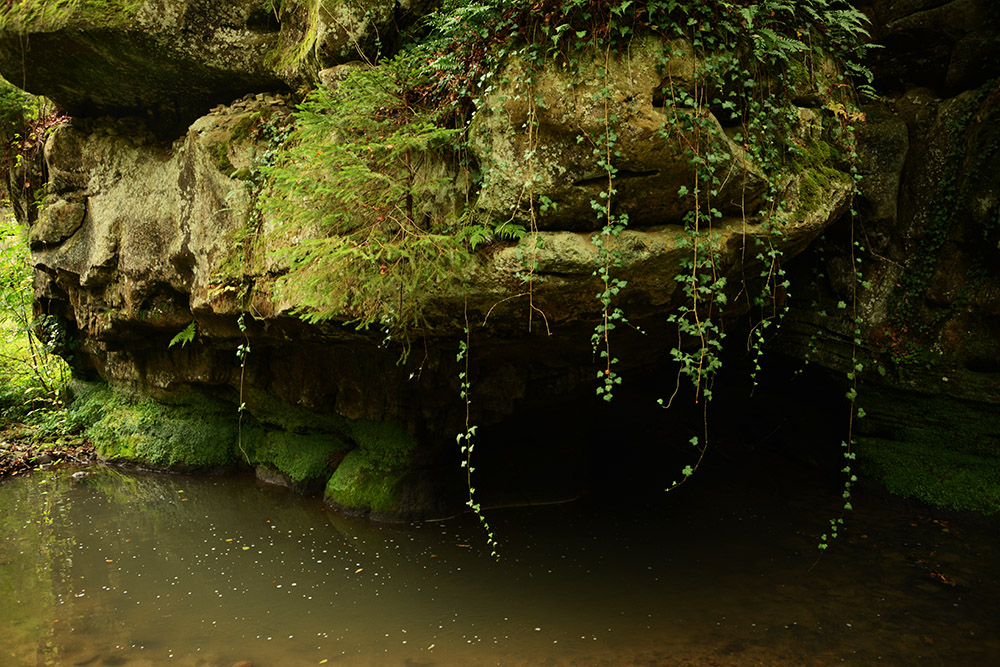 Creek flowing through Mullerthal Luxembourg
