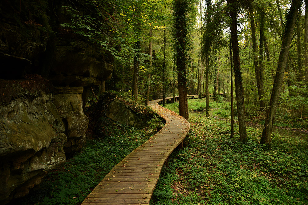 Hiking trail in Mullerthal Luxembourg