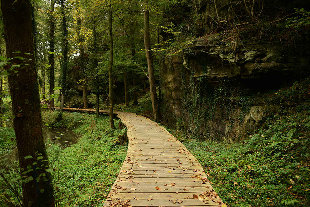 Forest trail in Mullerthal Luxembourg