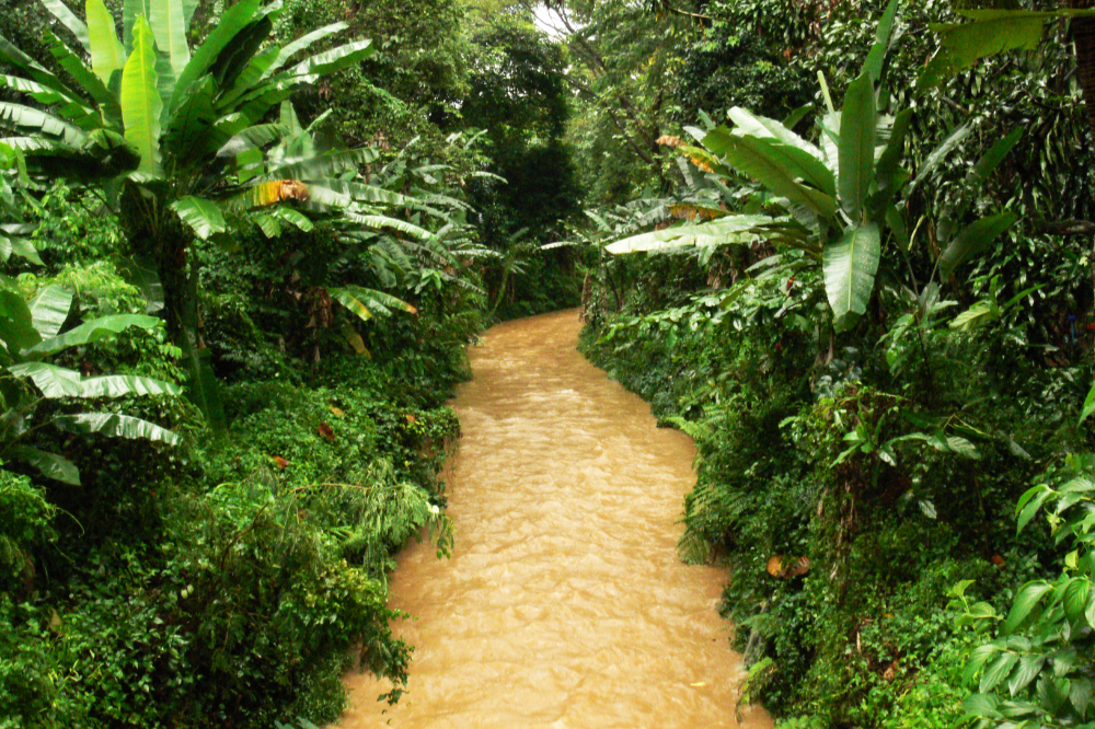 Muddy river after heavy rain in Malaysia