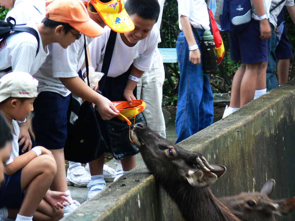 Animal feeding at Malaysia's national zoo