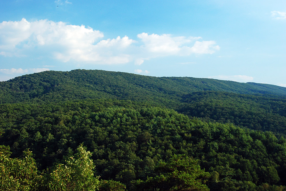 Mountain and forest view in Green Ridge State Forest