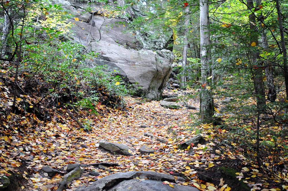 Hiking trail in the Berkshires Massachusetts