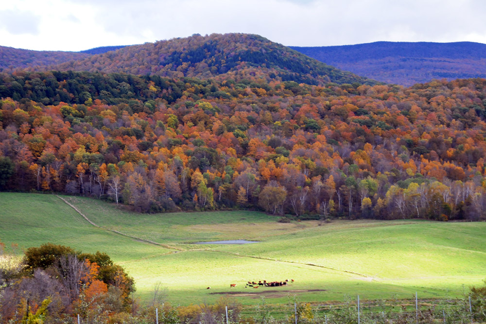 Berkshires landscape in western Massachusetts
