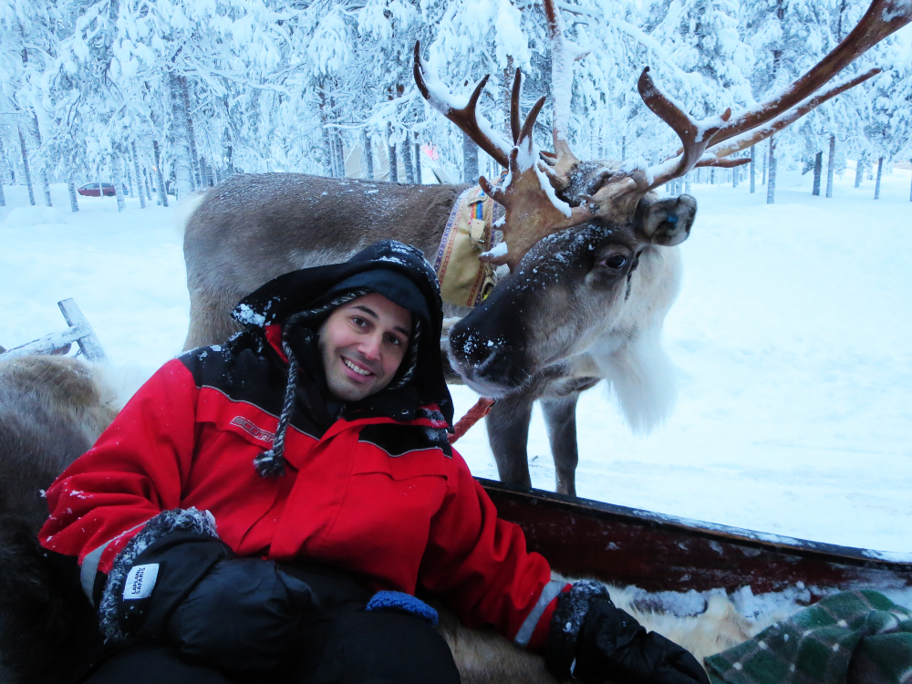 George Kashouh Reindeer