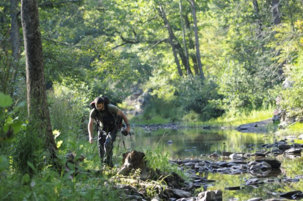 Hiking in Green Ridge State Forest Maryland
