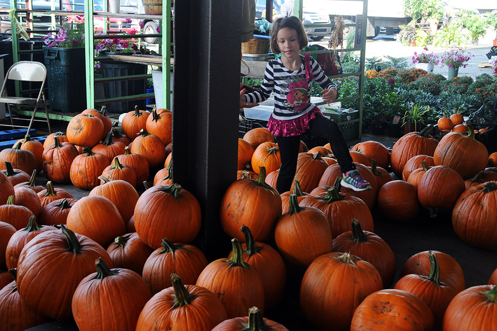 Pumpkins for sale at Eastern Market in Detroit