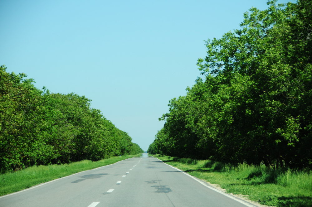 Country road in rural Moldova