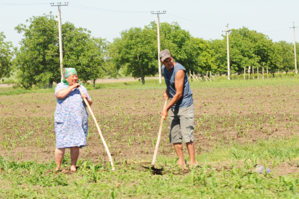 Farm workers in rural Moldova
