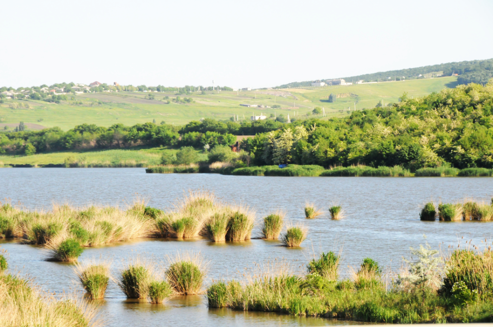 Grassland and forest scenery in Moldova