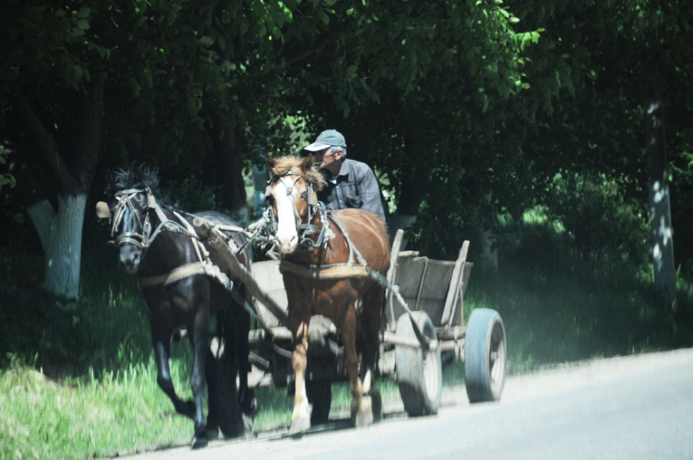Horse and cart in rural Moldova