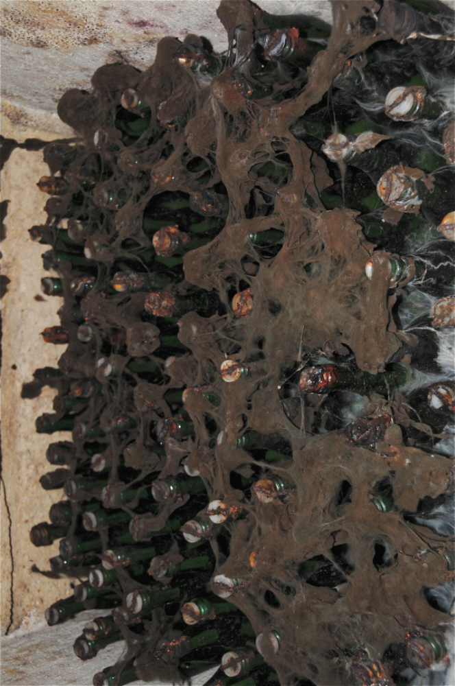 Old bottles of wine stored at Milestii Mici Moldova