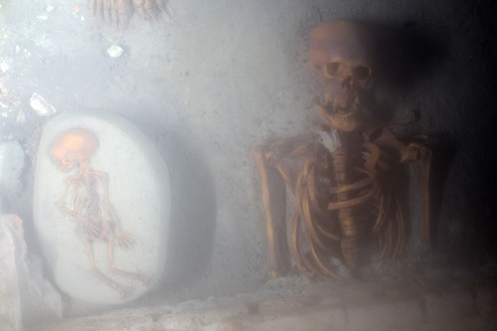 Child's skeletal remains uncovered near Sint-Catharinakerk