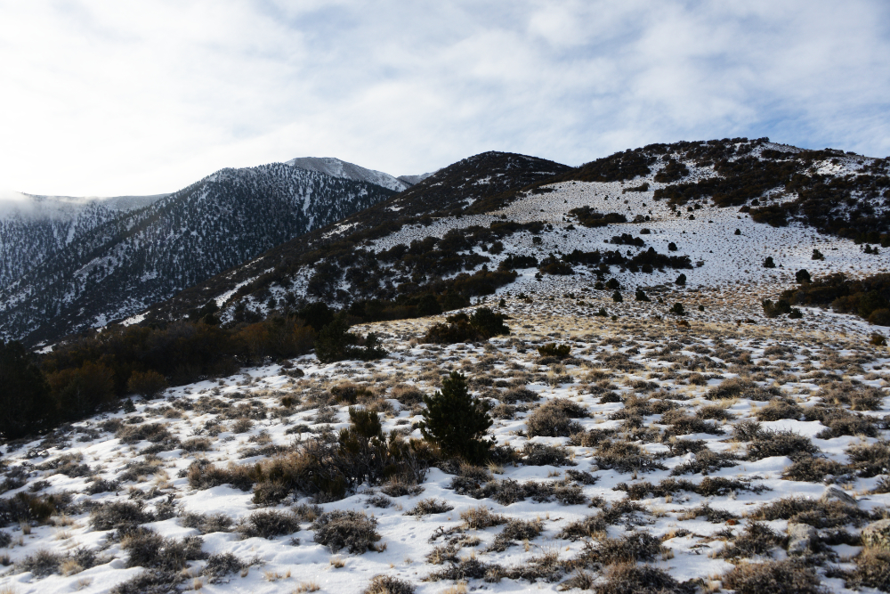 Boundary Peak ridge in winter