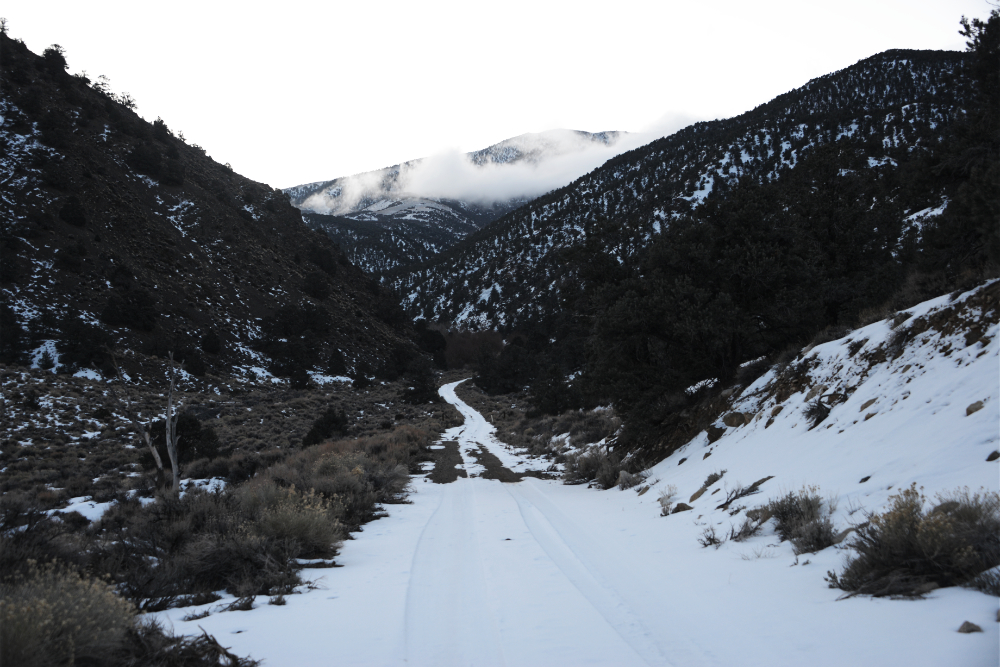Road through the White Mountains toward Boundary Peak