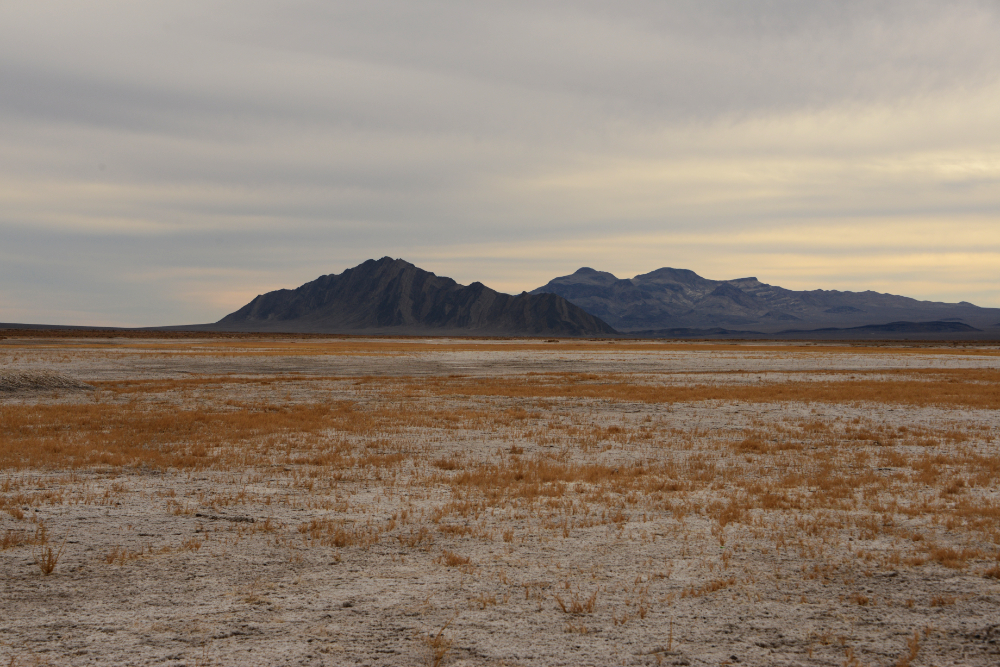 Nevada Desert Open desert landscape in Nevada